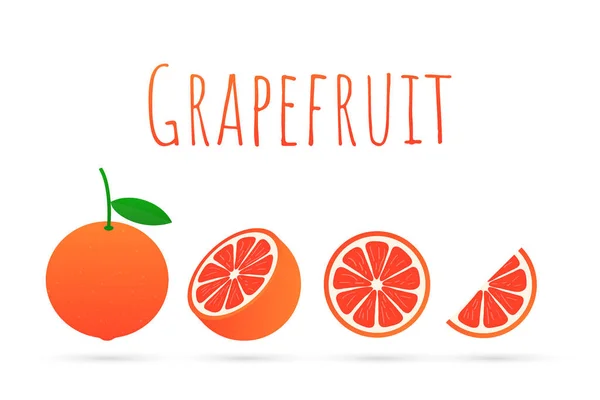 Grapefruit. eine ganze Grapefruit und einen Schnitt. Vektorillustration. — Stockvektor