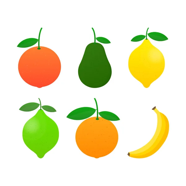 Friss citrusfélék halmaza. Narancs, grapefruit, citrom, lime, banán, avokádó. Vektoros illusztráció. — Stock Vector