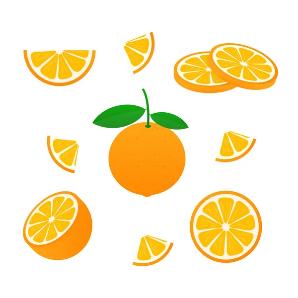 Orange mit ganzen Blättern und Orangenscheiben. Vektorillustration von Orangen. — Stockvektor