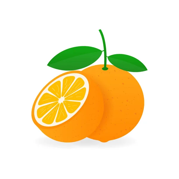 Πορτοκαλί με φύλλα ολόκληρα και φέτες πορτοκαλιού. Εικονογράφηση αποθέματος διανυσματικών αποθεμάτων. — Διανυσματικό Αρχείο