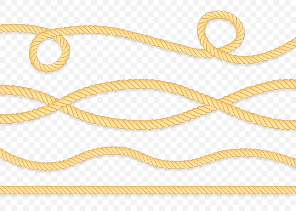 白に隔離された異なる厚さのロープのセット。ベクターイラスト. — ストックベクタ