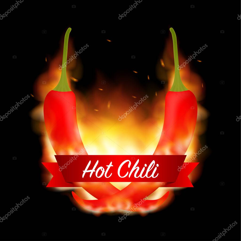 A burning hot spicy red chilli pepper covered in flames. Extra spicy pepper. Vector stock illustration.