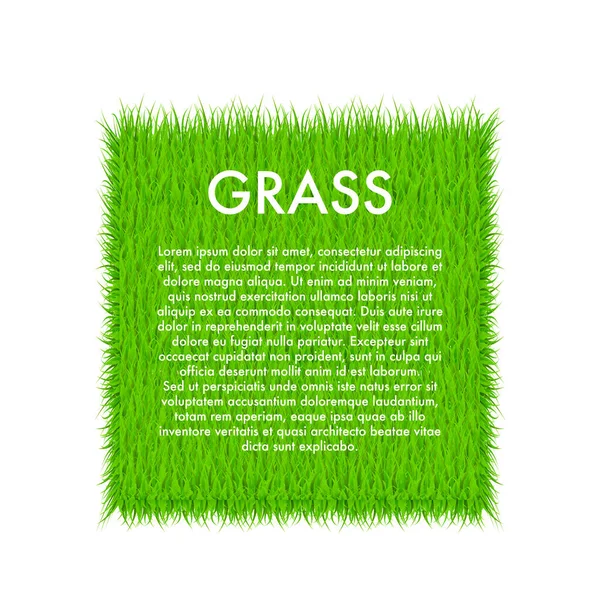 Cirkel met gras, groene gras achtergrond. Een lijst. Vector Illustratie — Stockvector