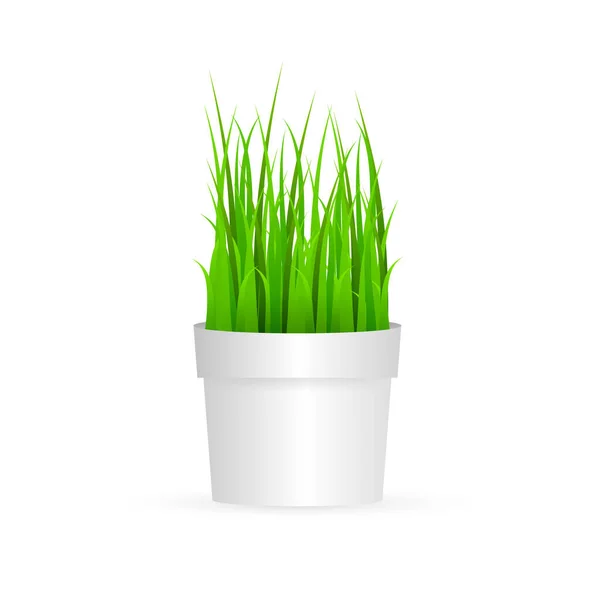 Hierba verde fresca en maceta. Elemento de la decoración del hogar. Ilustración de stock vectorial . — Vector de stock