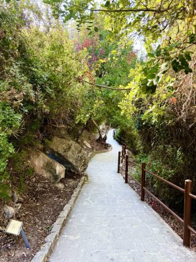 Dışarıdaki yemyeşil çimenlikte beton yol. Taşlarla döşenmiş yürüyen bir patika.