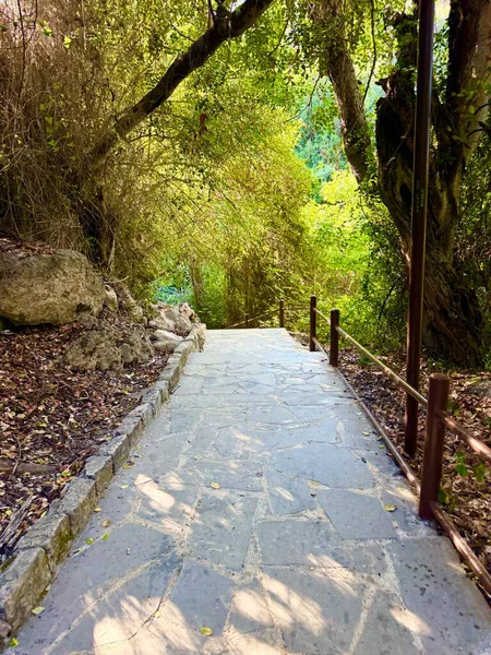 Dışarıdaki yemyeşil çimenlikte beton yol. Taşlarla döşenmiş yürüyen bir patika.
