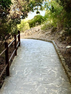 Dışarıdaki yemyeşil çimenlikte beton yol. Taşlarla döşenmiş yürüyen bir patika.