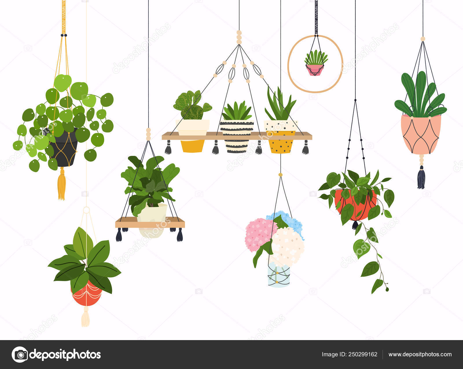 Featured image of post View 15 Macrame Hanging Plant Drawing