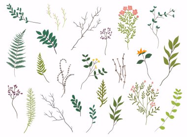 Çiçek öğeleri. Elle çizilmiş tasarım öğeleri. Bahar çiçek, yaprak, karahindiba, çim topluluğu. Davetiye, düğün veya tebrik kartı tasarımı