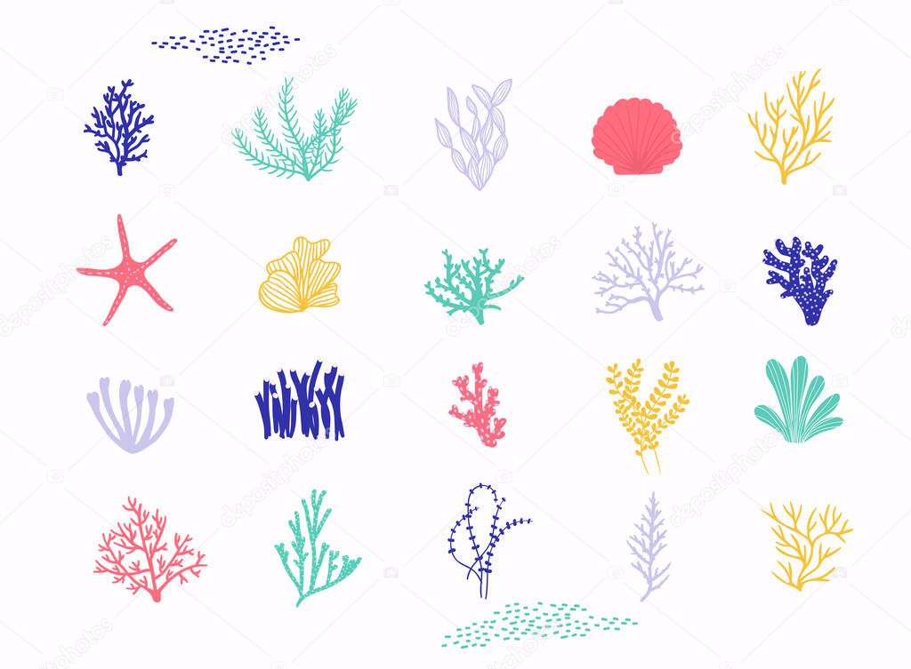 Sea plants and aquarium seaweeds set isolated on white background.