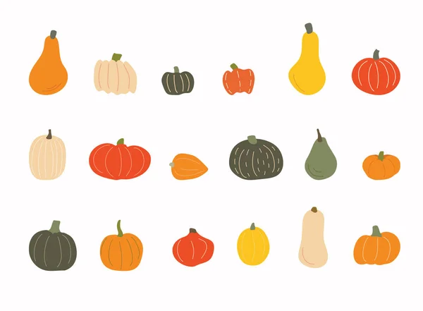 Conjunto Diferentes Calabazas Conjunto Otoño Elementos Sobre Fondo Blanco — Vector de stock