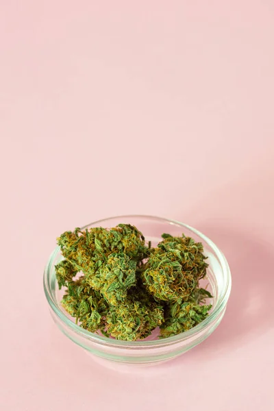 Medizinische Marihuana Knospen Aus Cannabis Oder Hanfpflanzen Auf Rosa Hintergrund — Stockfoto