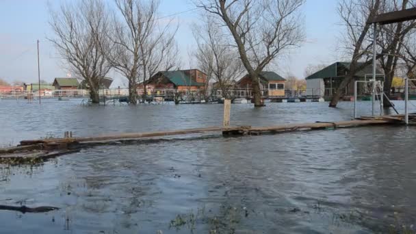 Acqua Fiume Durante Inondazione Con Alberi Zattere Acqua — Video Stock