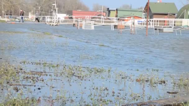 Paseo Inundado Largo Una Orilla Del Río Área Urbana — Vídeos de Stock