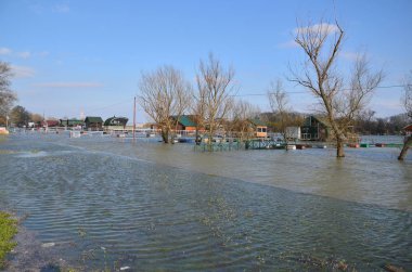 Bir nehir banka city bölgesinde sular altında mesire