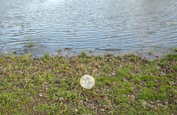 Flussufer Nach Frühjahrsflut Mit Plastik Verschmutzt — Stockfoto