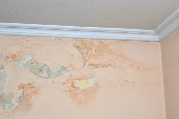 Wall of a room damaged due to moisture