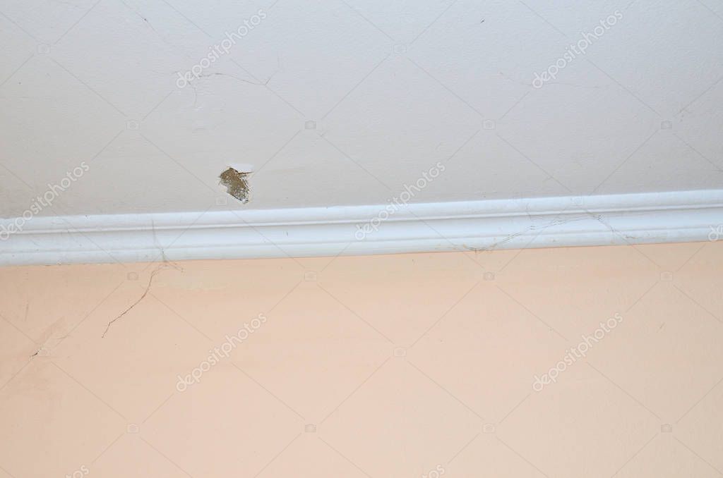 Ceiling Crack Wall Parts Spider Web Stock Photo C Bane M 209986320