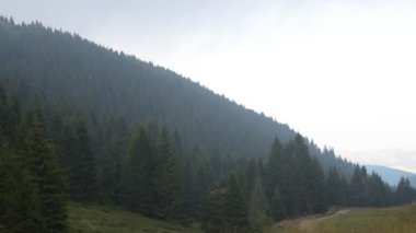 Sisli ve bulutlu gün kozalaklı ağaçlar dağ, ormanların üzerinde sola kaydırma.