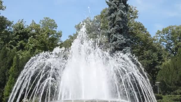 Getti Acqua Fontana Cambiando Forme Spruzzatura Nel Parco Pubblico Vrnjacka — Video Stock