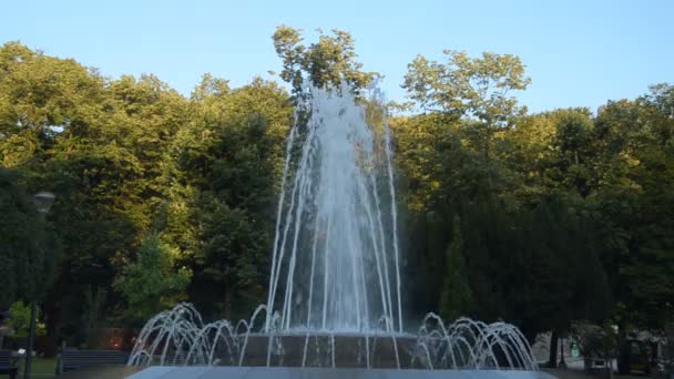 Vrnjacka Banja セルビア 早朝に水を噴霧の形状を変えることで公共の公園で噴水 — ストック動画