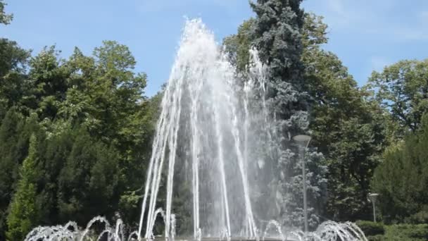 Getti Acqua Fontana Cambiando Forme Spruzzatura Nel Parco Pubblico Vrnjacka — Video Stock