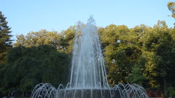 Brunnen Einem Öffentlichen Park Der Morgens Die Form Des Sprühwassers — Stockvideo