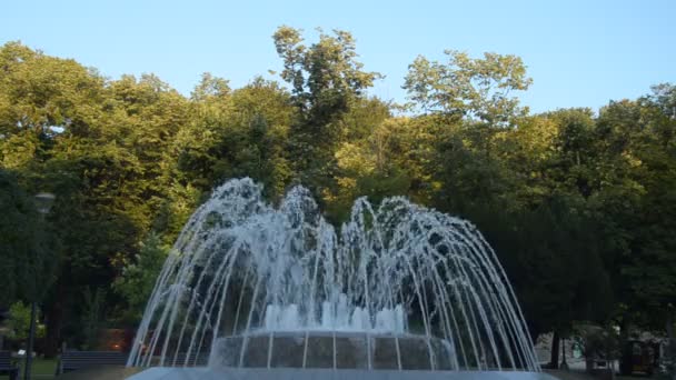 Fuente Parque Público Vrnjacka Banja Serbia Cambiando Formas Rociar Agua — Vídeos de Stock