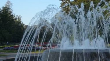 Çeşme ve çiçekler içinde bir kamu park, Vrnjacka Banja, Sırbistan, sabah. Sola kaydırma.