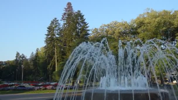 Fountain Flowers Public Park Vrnjacka Banja Serbia Early Morning Panning — Stock Video