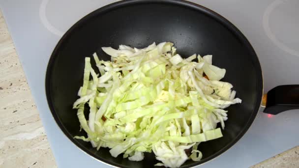 野菜と混ぜるスプーン調理プロセス中に混ぜて鍋でキャベツとパプリカを追加 — ストック動画