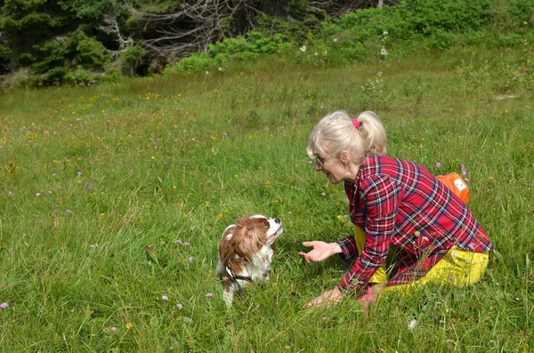 Woman dressed in rustic royal stewart shirt, lying on green meadow resting with her pet - Cavalier King Charles Spaniel