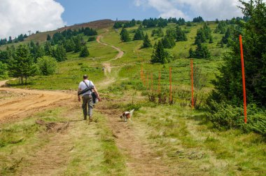 Adam köpeğiyle bir yol bir tepe üzerinde yaz aylarında hiking