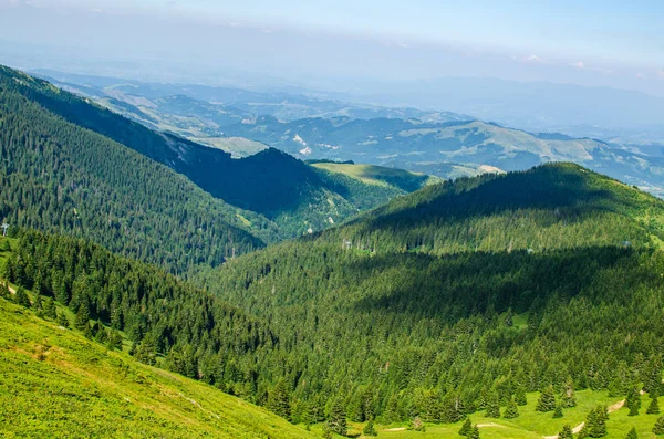 Bir dağ - Kopaonik, Sırbistan, iğne yapraklı orman Hills.