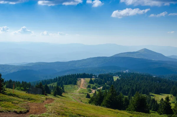 Yeşil çayırlar ve dağ Kopaonik, Sırbistan, yaz aylarında tepelerinde dağ yolu