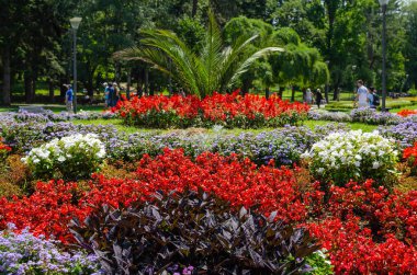 Genel bir parkta çiçekleri