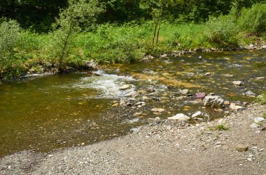 Dağ nehri ve kıyıları