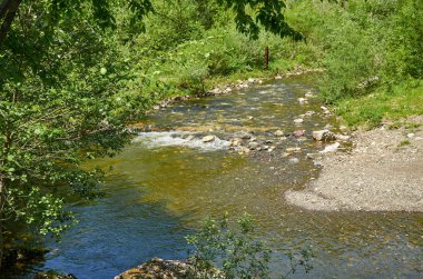Dağ nehri ve kıyıları