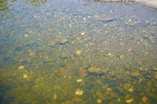 浅水河底 — 图库照片