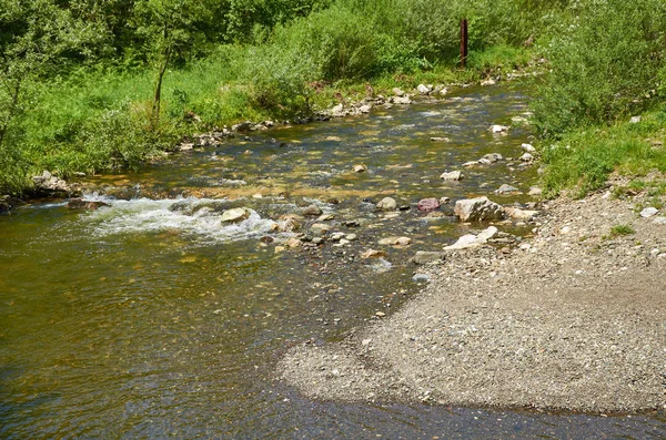 Mountain river and its coasts — Stock Photo, Image