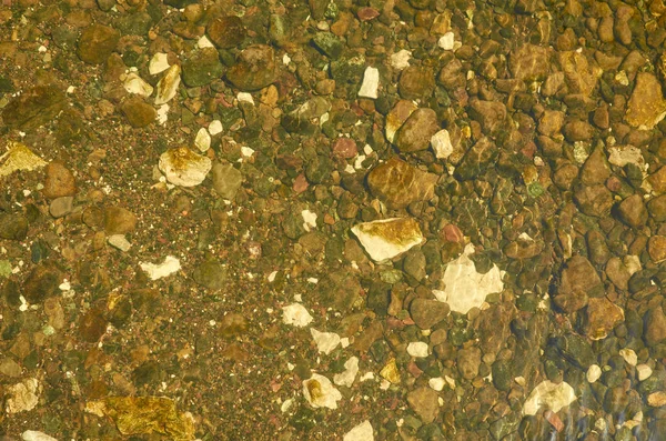 얕은 강 바닥 — 스톡 사진