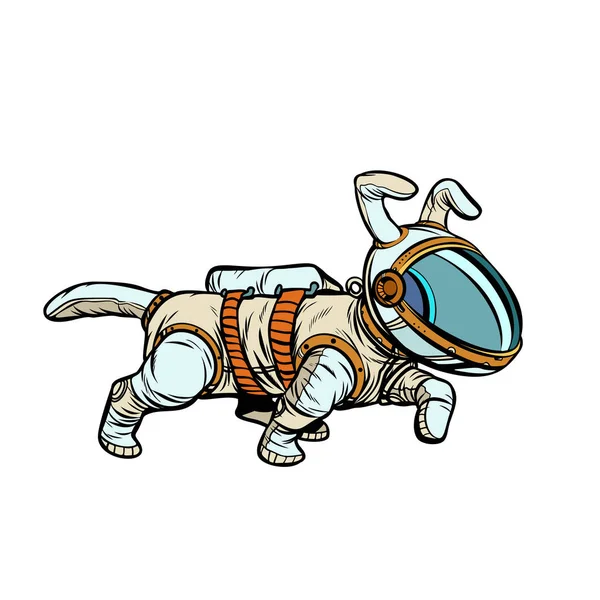 Astronauta pies — Wektor stockowy