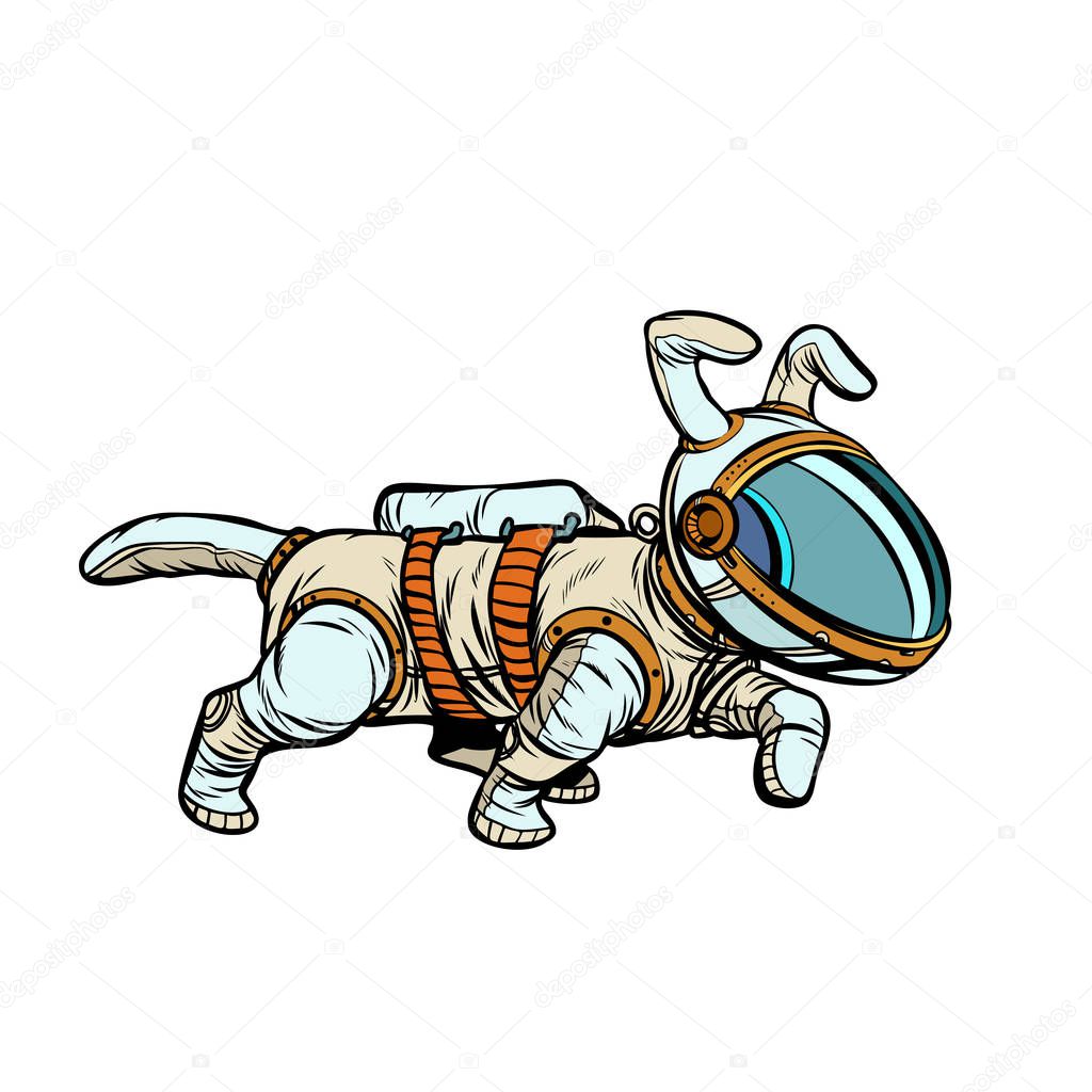pet dog astronaut