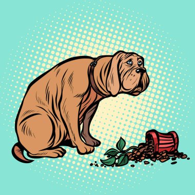 Kötü köpek bir saksı houseplant kırdı