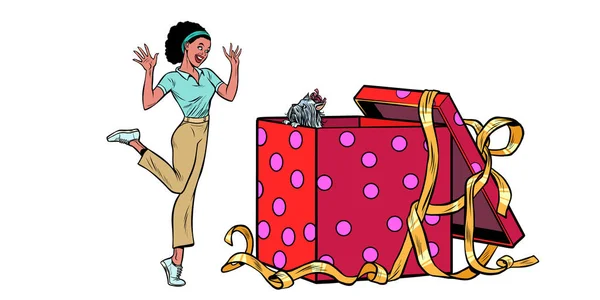 Chien chiot boîte cadeau de vacances. Femme africaine drôle réaction isoler sur fond blanc — Image vectorielle