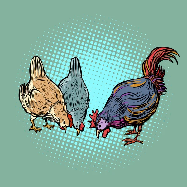 鶏とオンドリです。ファームバード — ストックベクタ