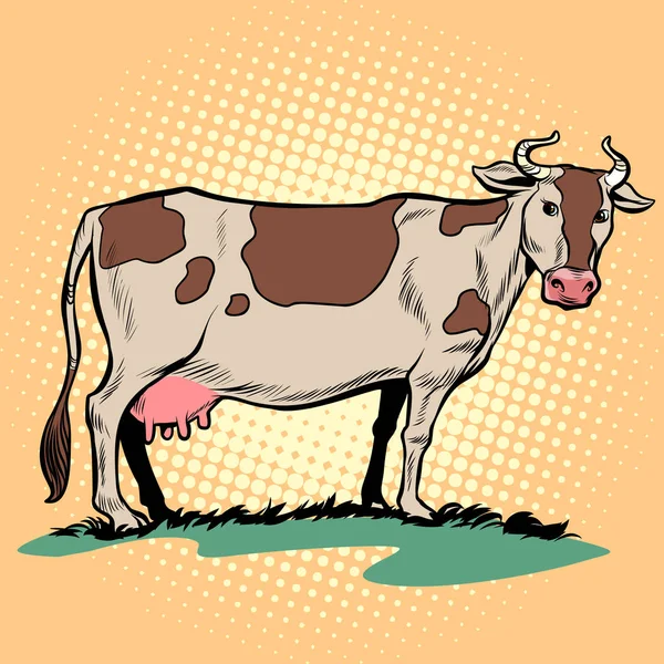 Susu sapi perah dengan udder. Hewan ternak. - Stok Vektor