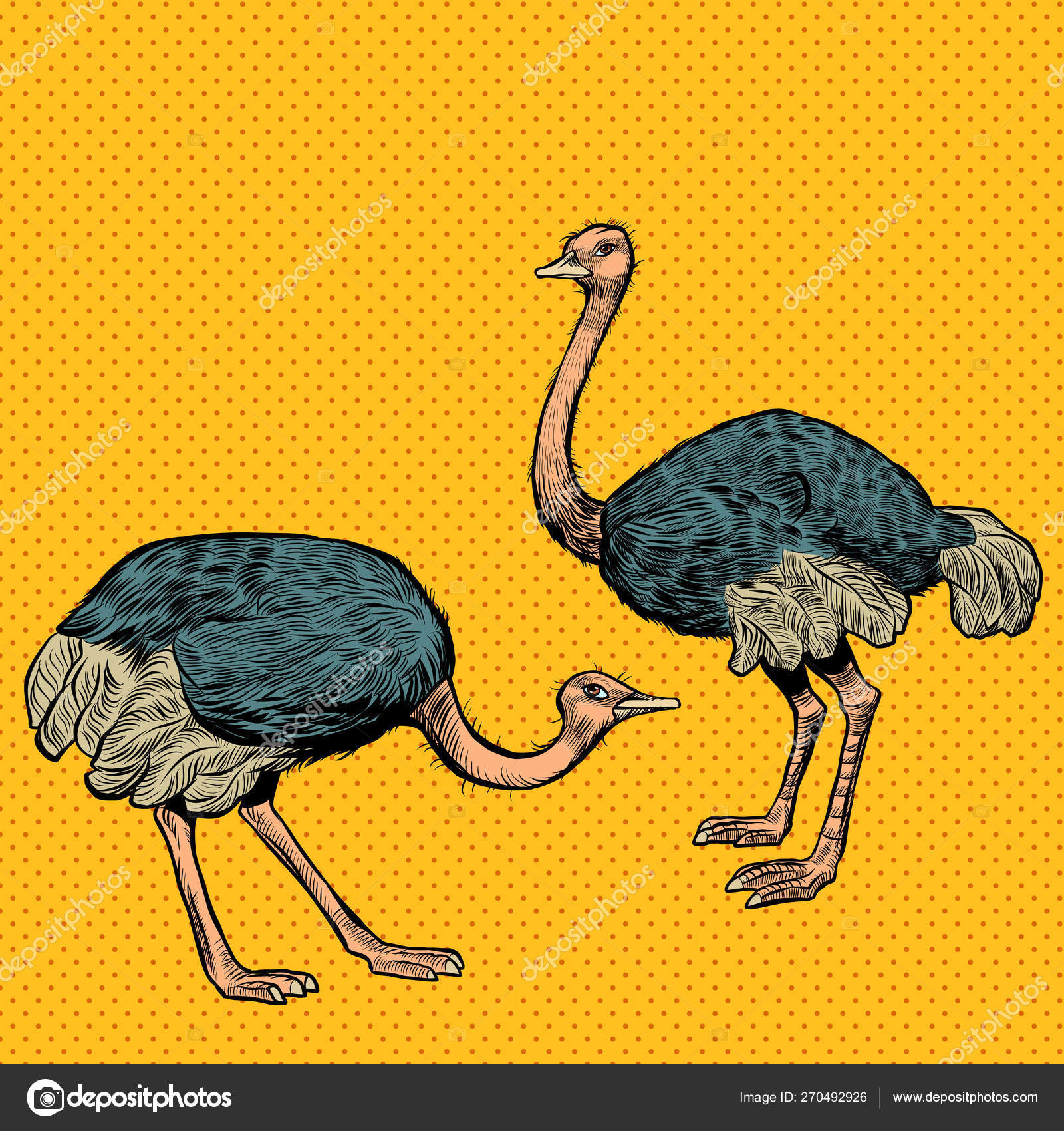 Immagini vettoriali stock di Viso di struzzo | DepositPhotos, image size:1600x1700