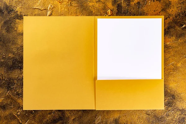 Corporate stationery set mockup. Golden foil presentation folder