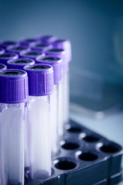 Farklı hastalıkların tedavisi veterinerlik kullanımına yönelik şişeleri. Hiçbir insan